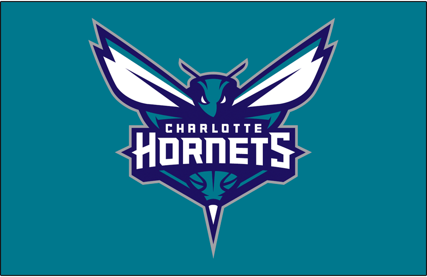 Charlotte Hornets 2014-Pres Primary Dark Logo t shirts iron on transfers
